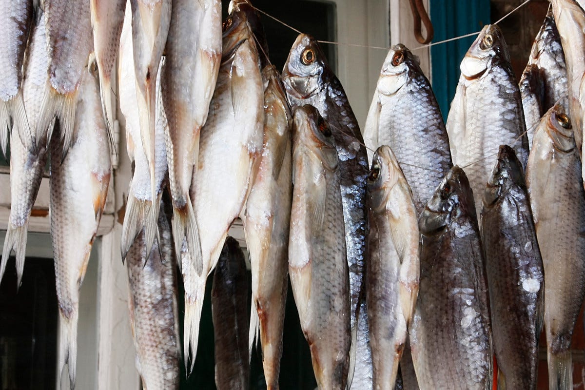 Frollatura del pesce: cos’è e come si fa. Lo spiega un maestro del pesce frollato