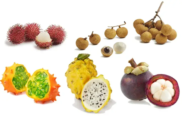 Frutta esotica estiva, un toccasana per dieta e salute contro il caldo