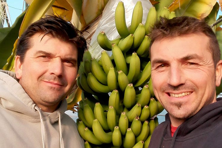 Benedetto e Rosolino Palazzolo (Frutta esotica dell'Orto di Nonno Nino In Sicilia papaya e banane biologiche)