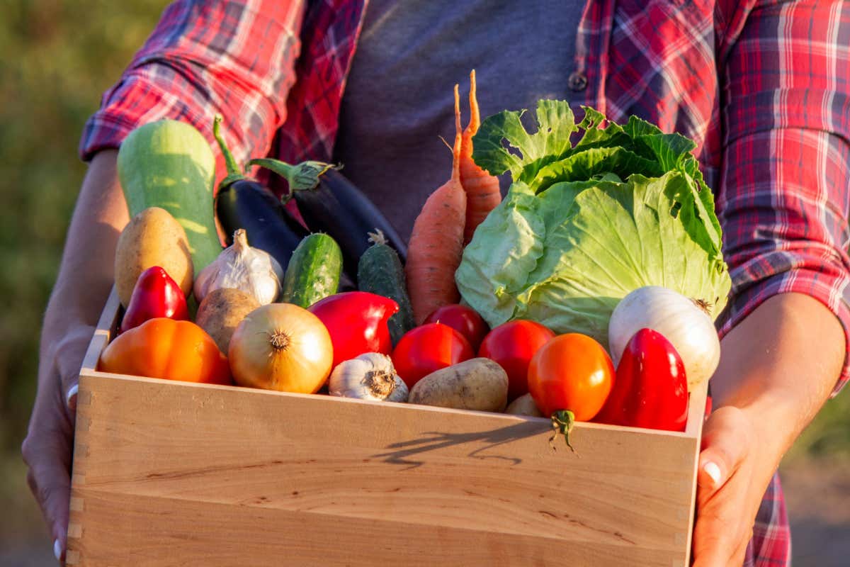 Gi&ugrave; i prezzi degli ortaggi di stagione: i prezzi di pomodori melanzane e angurie