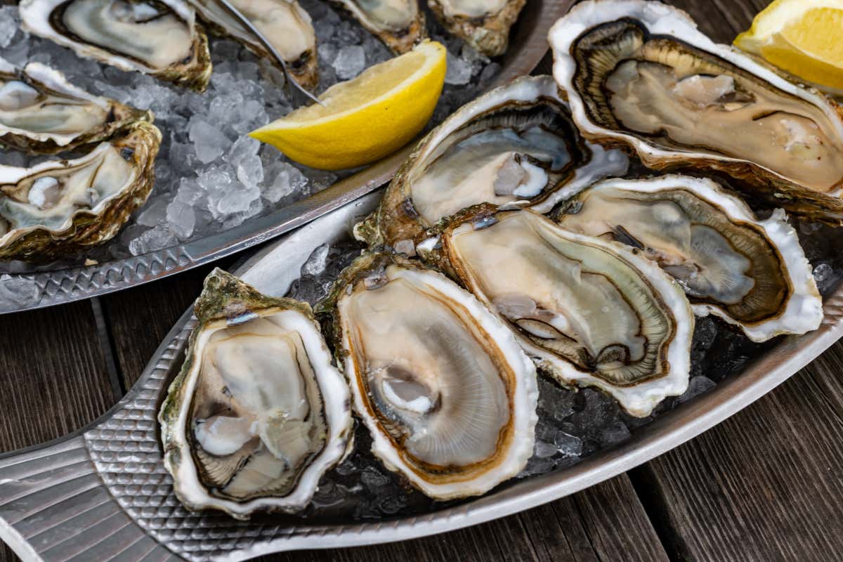 Ostriche, cozze e vongole: a Napoli un'ordinanza ha stabilito il divieto di servirle crude