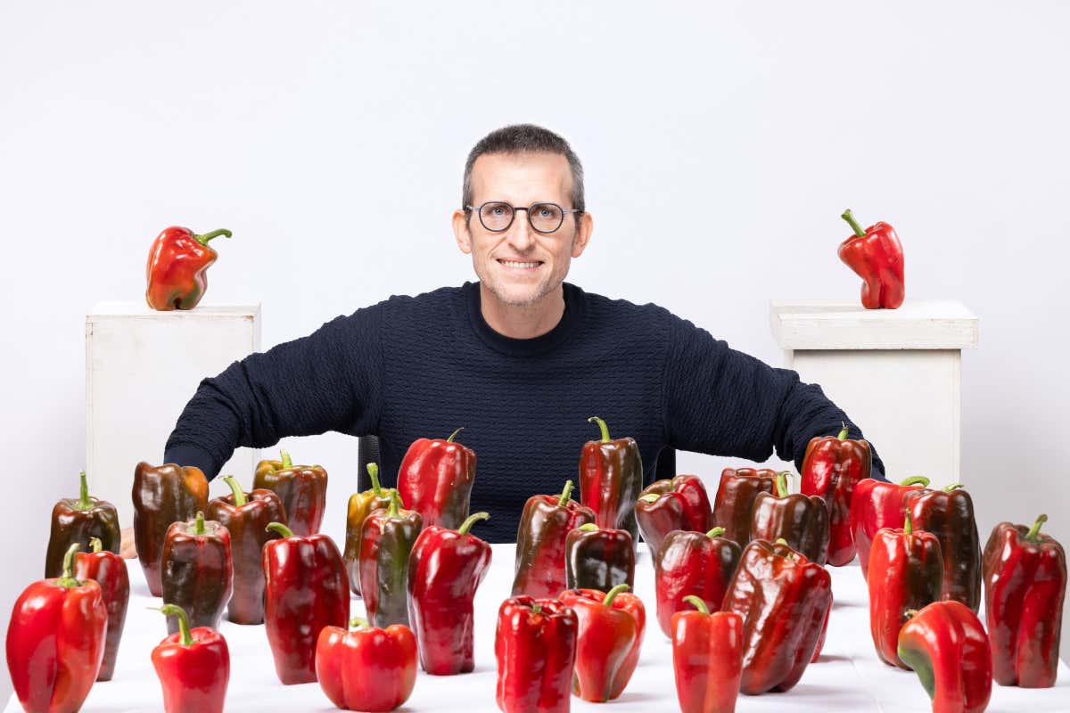 Come trasformare una sbronza in un impero, la sfida Come trasformare una sbronza in un impero, la sfida