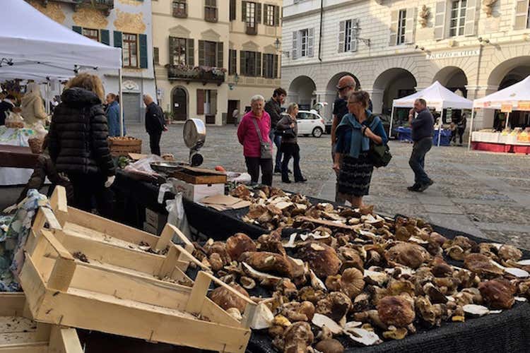 (Mostra del Fungo - Mostra Mercato del Fungo e dei Prodotti Tipici) (Mostra del Fungo - Mostra Mercato del Fungo e dei Prodotti Tipici)