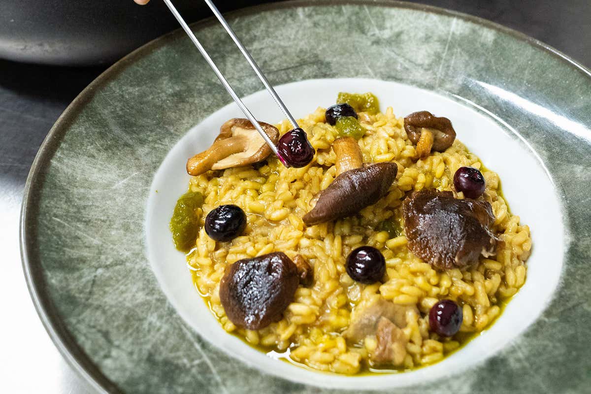 Risotto ai funghi e mirtilli Una cucina Fuorinorma ma piena di gusto all’Ostiense