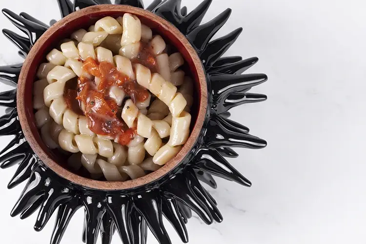 Fusilli fatti a mano, burro di manteca, acciughe e riccio di mare Tra terra e mare a Trani nuovo ristorante di sapori autentici