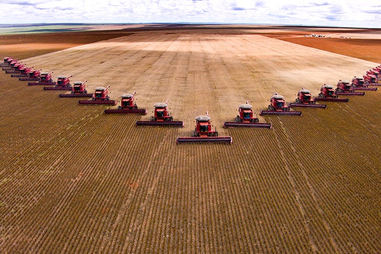 La produzione di soia nel Mato Grosso ha toccato le 117 milioni di tonnellate nel 2017 (Il futuro del cibo Una prospettiva drammatica)