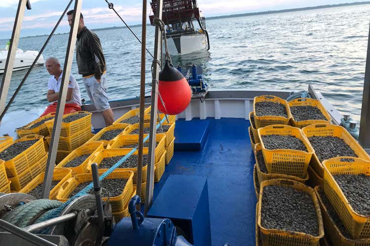 (Il futuro della pesca è la sostenibilità Nasce un progetto di filiera virtuosa)