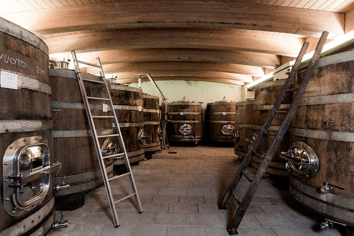 I vini Radikon vengono affinati in grandi botti