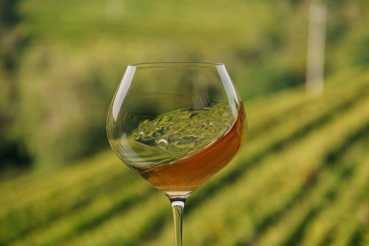 Radikon, una delle cantine che hanno ridefinito il modo di intendere il vino in questo territorio
