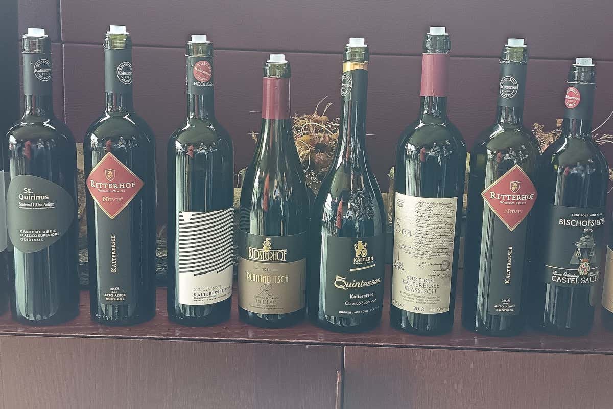 Caldaro, la Schiava torna al centro con il rilancio del territorio Caldaro, la Schiava torna al centro con il rilancio del territorio