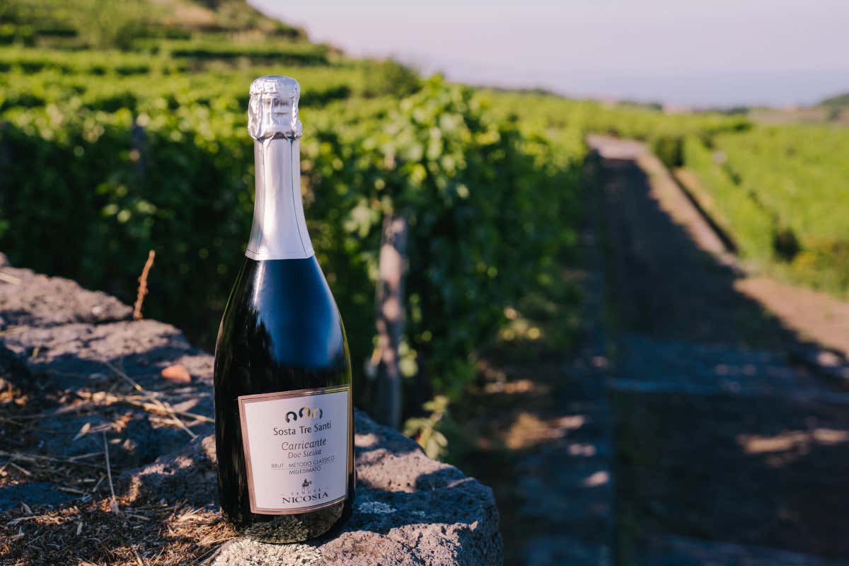 I vini etnei conquistano Milano, l’eccellenza di Tenute Nicosia