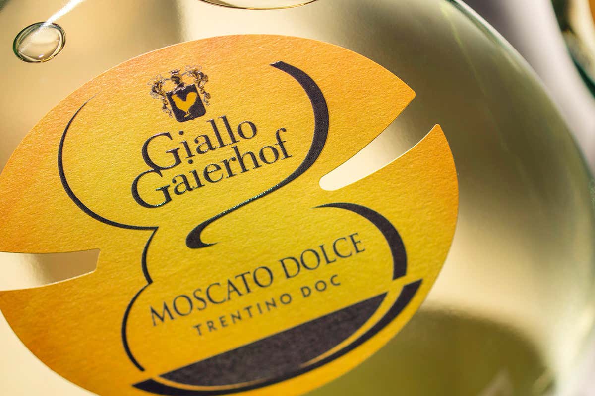 Dentro Gaierhof: il racconto di una cantina trentina al femminile