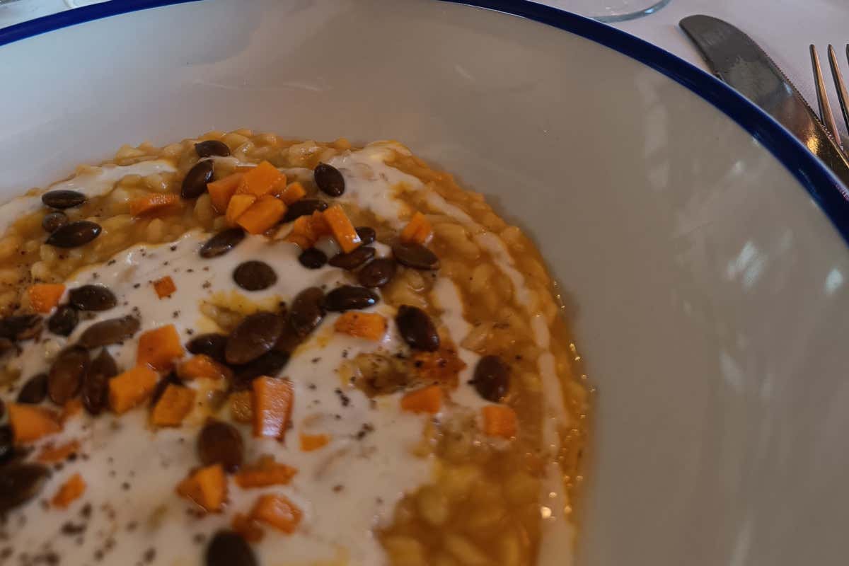 Dentro Gaierhof: il racconto di una cantina trentina al femminile