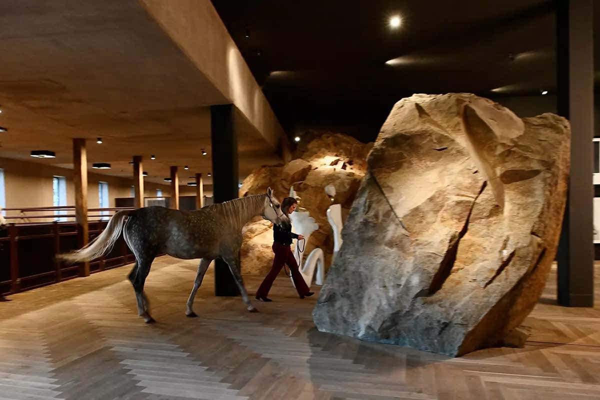 La hall Arte gusto e cavalli affiancano le nuove splendide suite alla Gallaria del Turm