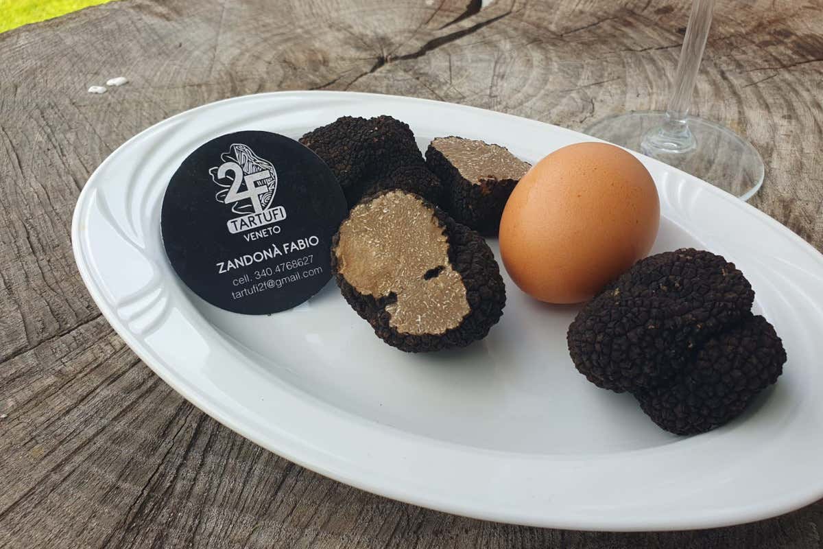 Esperimento unico in Italia: la gallina veneta che ci regala 