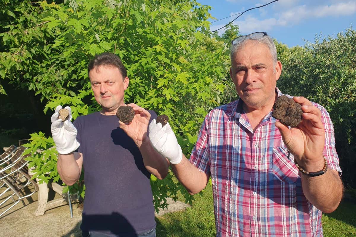 Esperimento unico in Italia: la gallina veneta che ci regala 