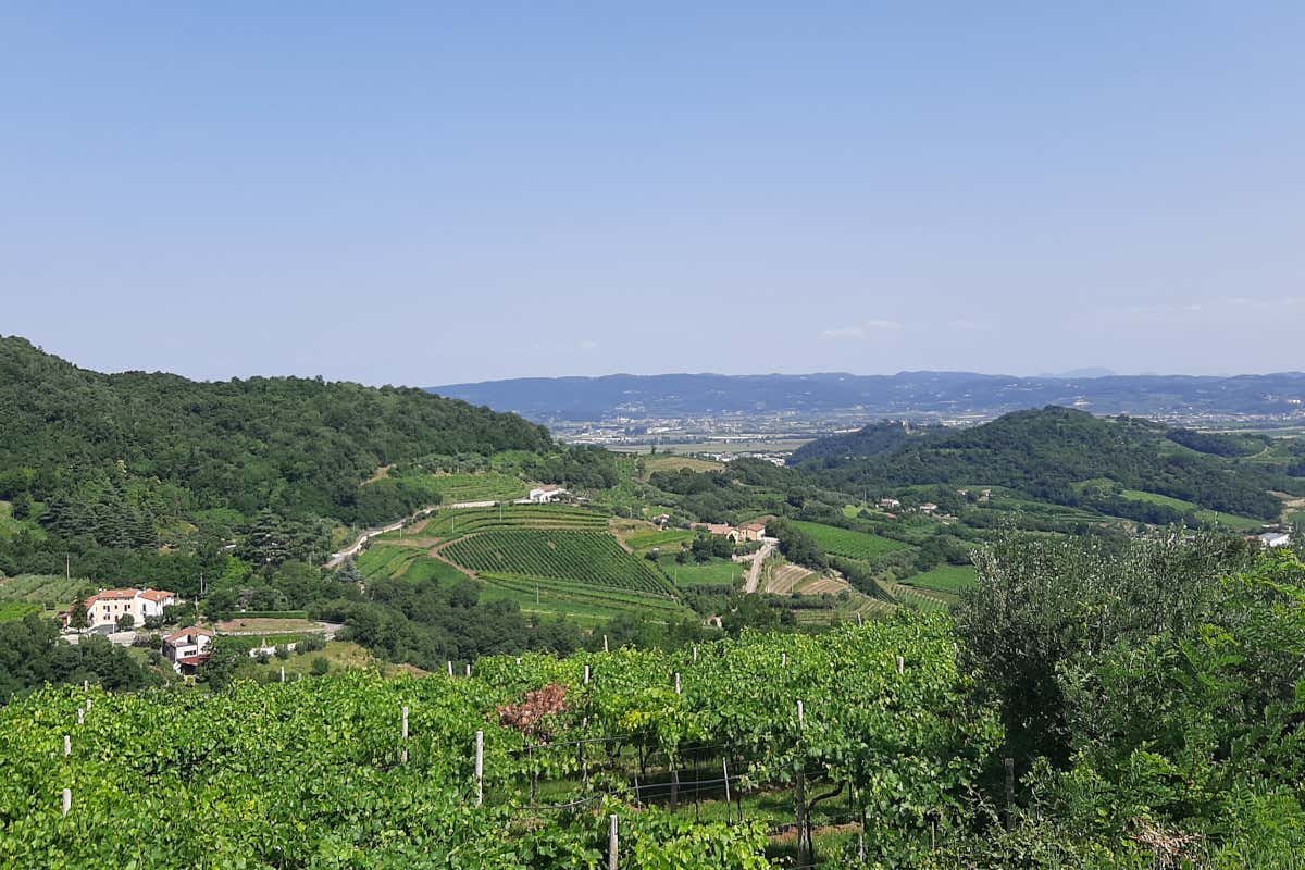 Tour alla scoperta del cuore vulcanico della Garganega