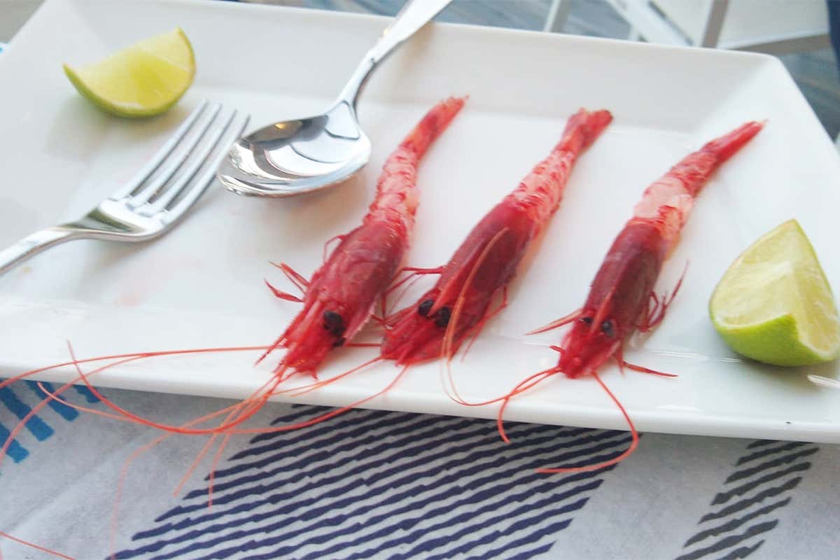 Crudo di gamberi di Ponza Nodi&hellip; d&rsquo;amore con il cibo e il mare. A Formia nuovo indirizzo gourmet