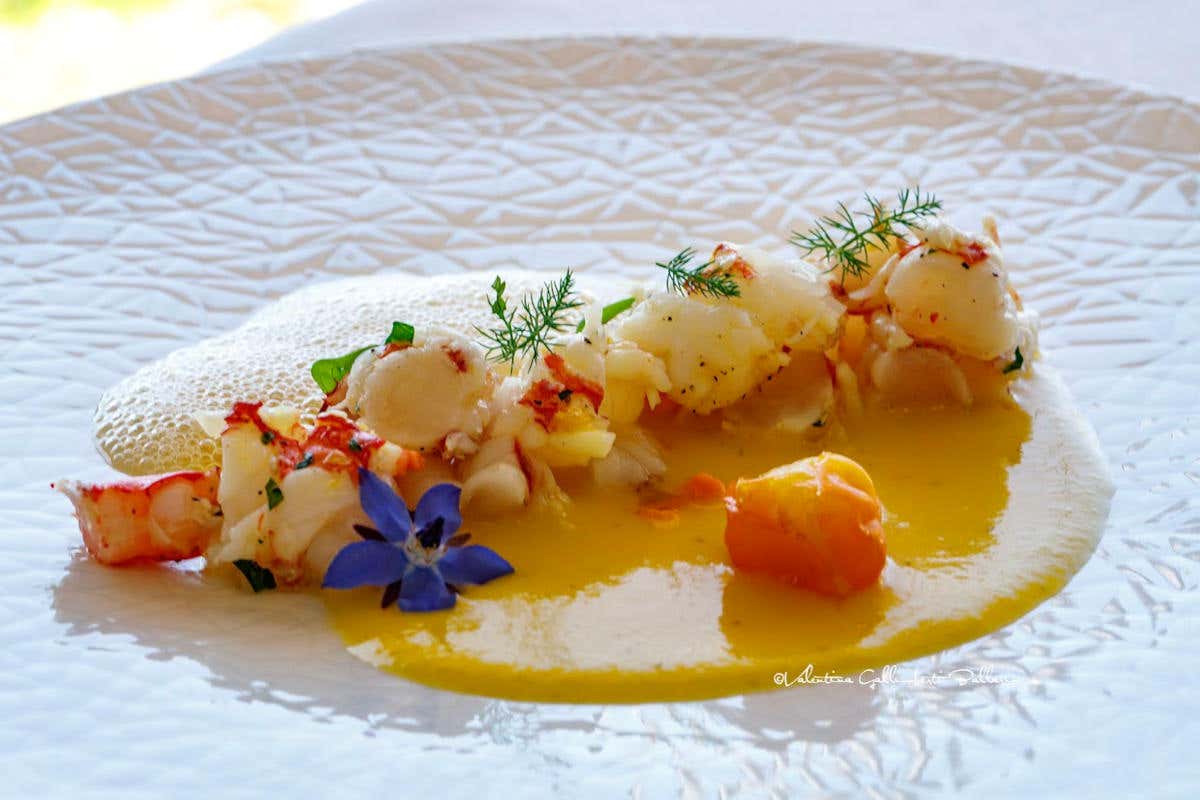 Gambero al vapore con riduzione di datterino giallo, aria di sedano rapa e affumicatura al cipresso 