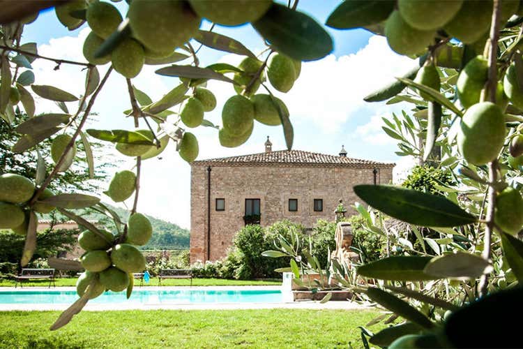 (Ganimede e Flami di Tenuta Cuffaro Intriganti blend per palati esigenti)