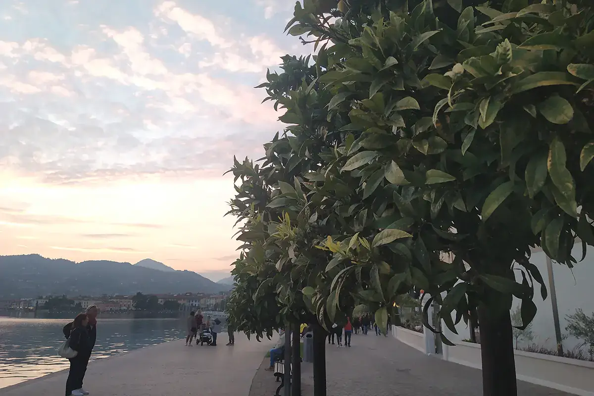 Piante di limoni sulle sponde del Lago di Garda La Regione Lombardia riconosce le eccellenze agroalimentari del Garda