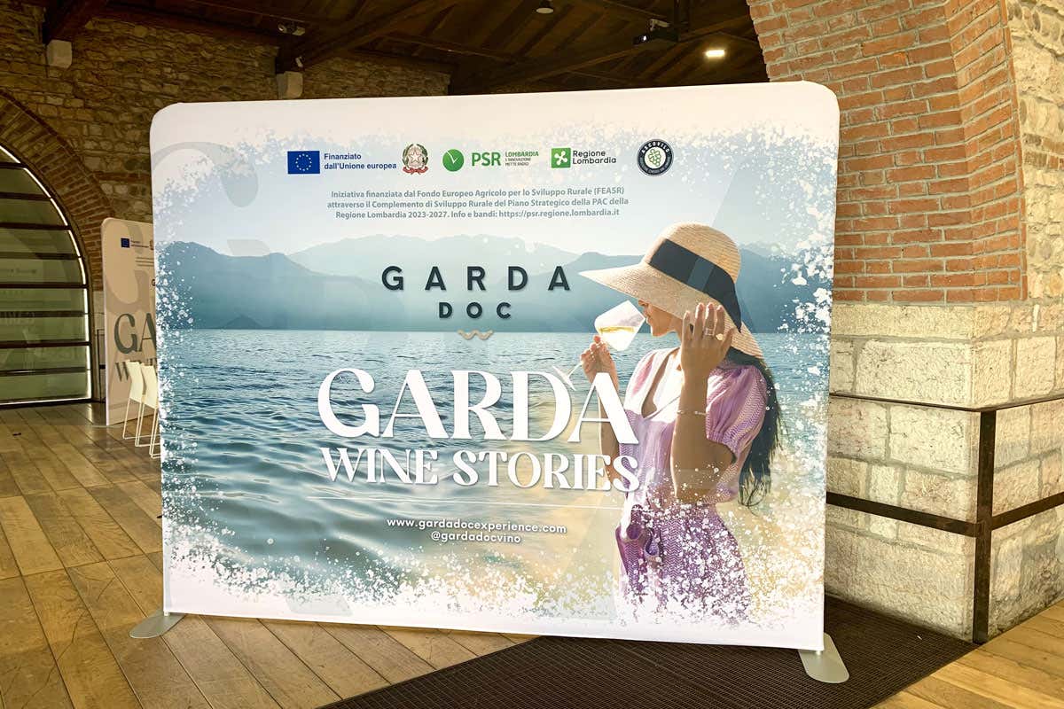 Consorzio Garda Doc tra vini low alcol, enoturismo e nuovi consumatori Consorzio Garda Doc tra vini low alcol, enoturismo e nuovi consumatori