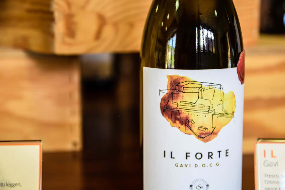 Novese, territorio tutto da scoprire in Piemonte