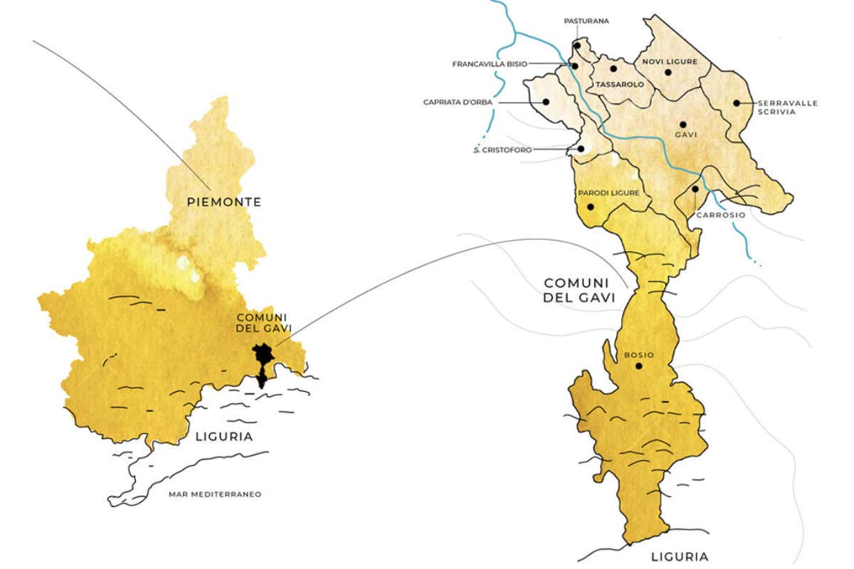Il Gavi svolta con Montobbio: «Più Riserva e zona di imbottigliamento blindata»