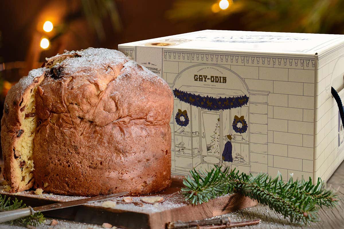 Panettone Gocce di Foresta Gay-Odin A Natale l’antica fabbrica di cioccolato Gay-Odin approda su Spotify