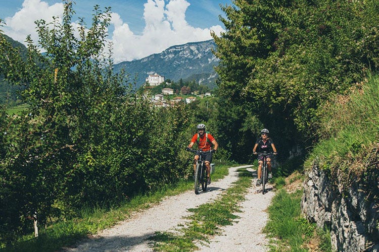 Taste&Bike tra Banale, Bleggio e Lomaso Weekend con i sapori del Trentino Tra escursioni in bici e picnic