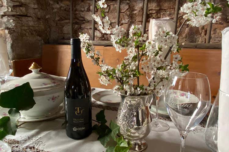 Gemme di gusto è una rassegna che fa parte delle manifestazioni enologiche provinciali Weekend con i sapori del Trentino Tra escursioni in bici e picnic