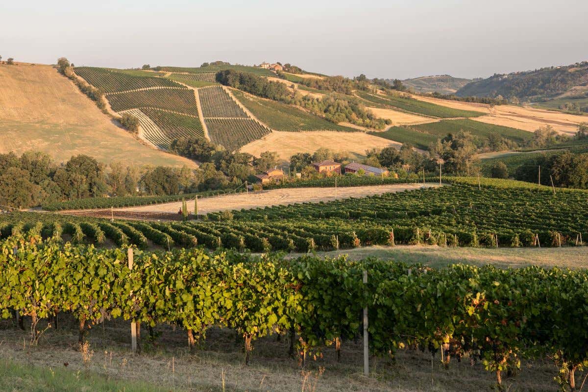 La Genisia e il Pinot nero insieme a Milano da Ceresio 7