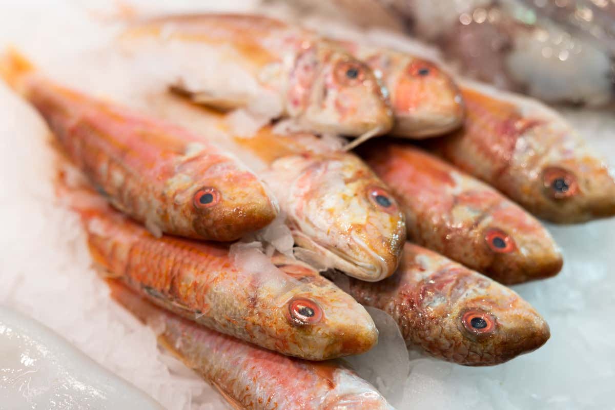 Un pranzo a Genova nel 1692: la cucina porta in tavola il Nuovo Mondo