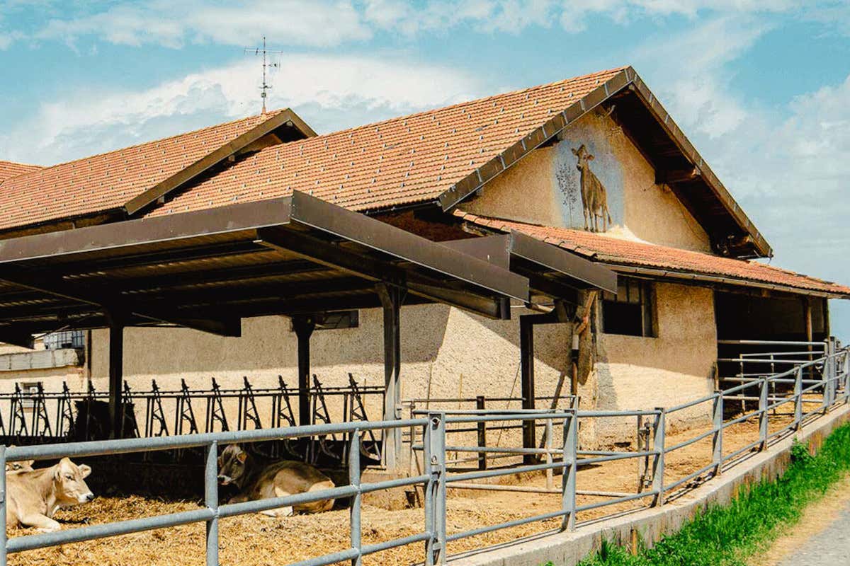 Ecco come il progetto Genova Gourmet sta valorizzando le eccellenze liguri