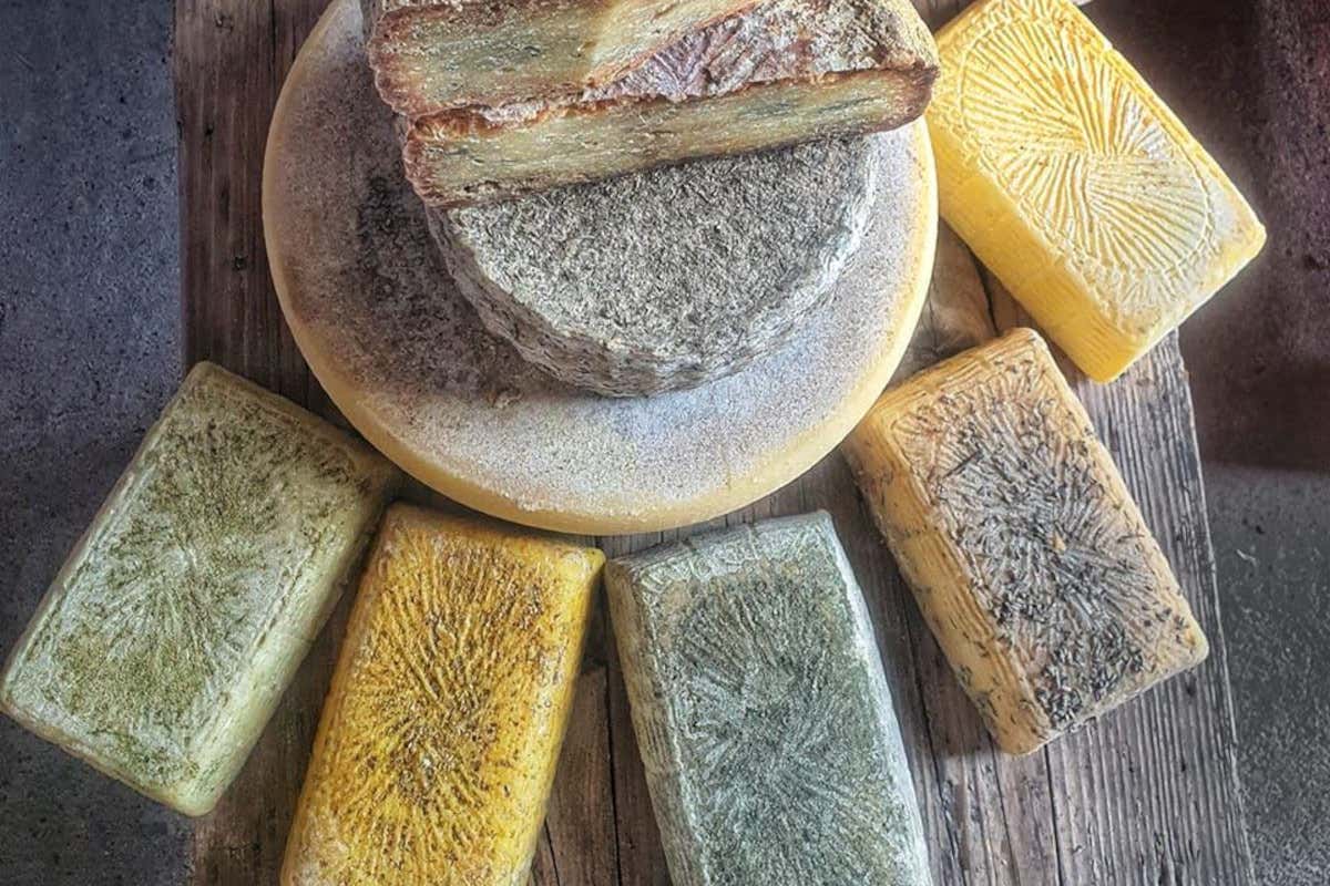 Ecco come il progetto Genova Gourmet sta valorizzando le eccellenze liguri