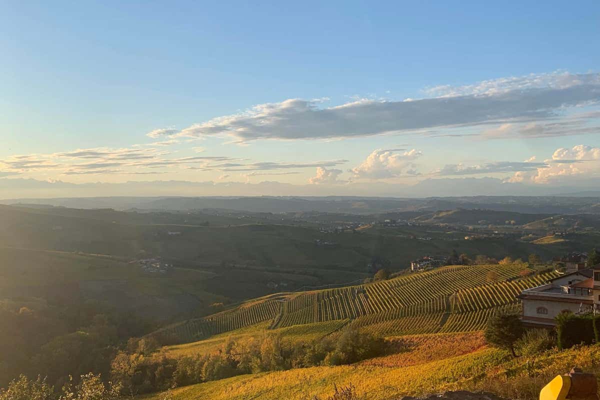 Le Langhe del Moscato, dove Mongioia produce i suoi moscati
