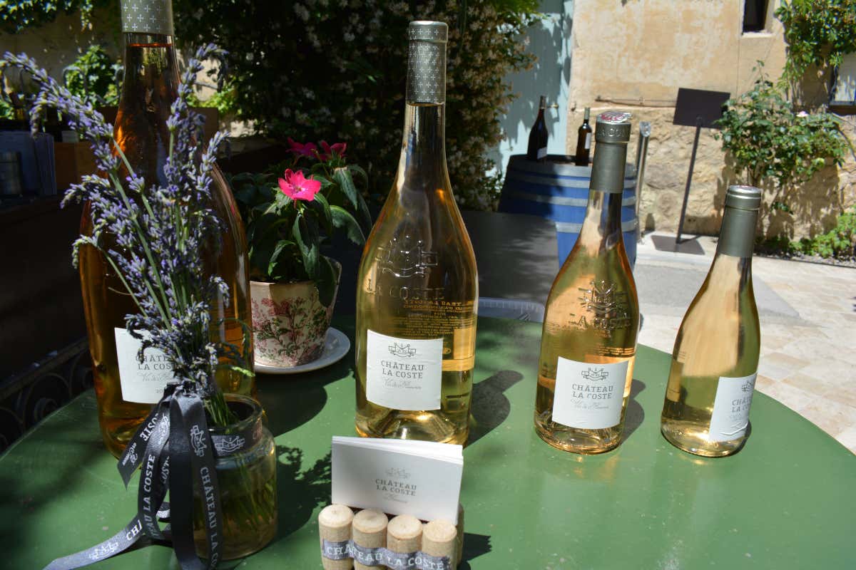 Non solo rosé: le cantine che raccontano il volto nascosto della Provenza del vino