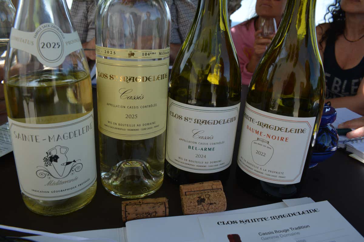 I vini di Clos Sainte Magdeleine