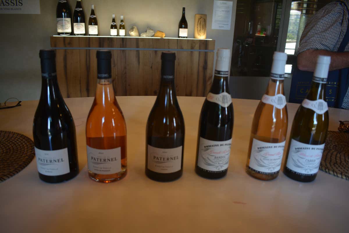 I vini di Domaine du Paternel