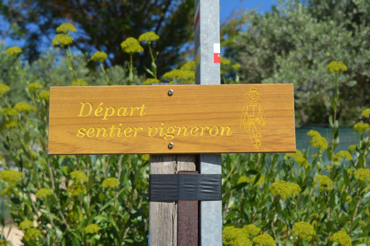 La cooperativa Les Vignerons du Mont Sainte-Victoire è anche inizio dei Sentiers des Vignerons