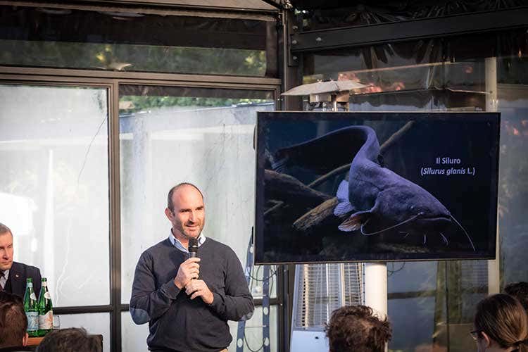 L'esperto ittico Pietro Volta Il siluro nel piatto: s&igrave; o no? La risposta nell'ultimo appuntamento di Gente di lago