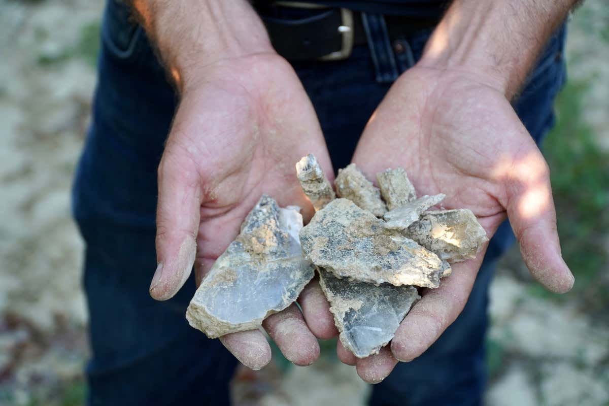 Verduno, la perla nascosta delle Langhe e il suo vitigno autoctono