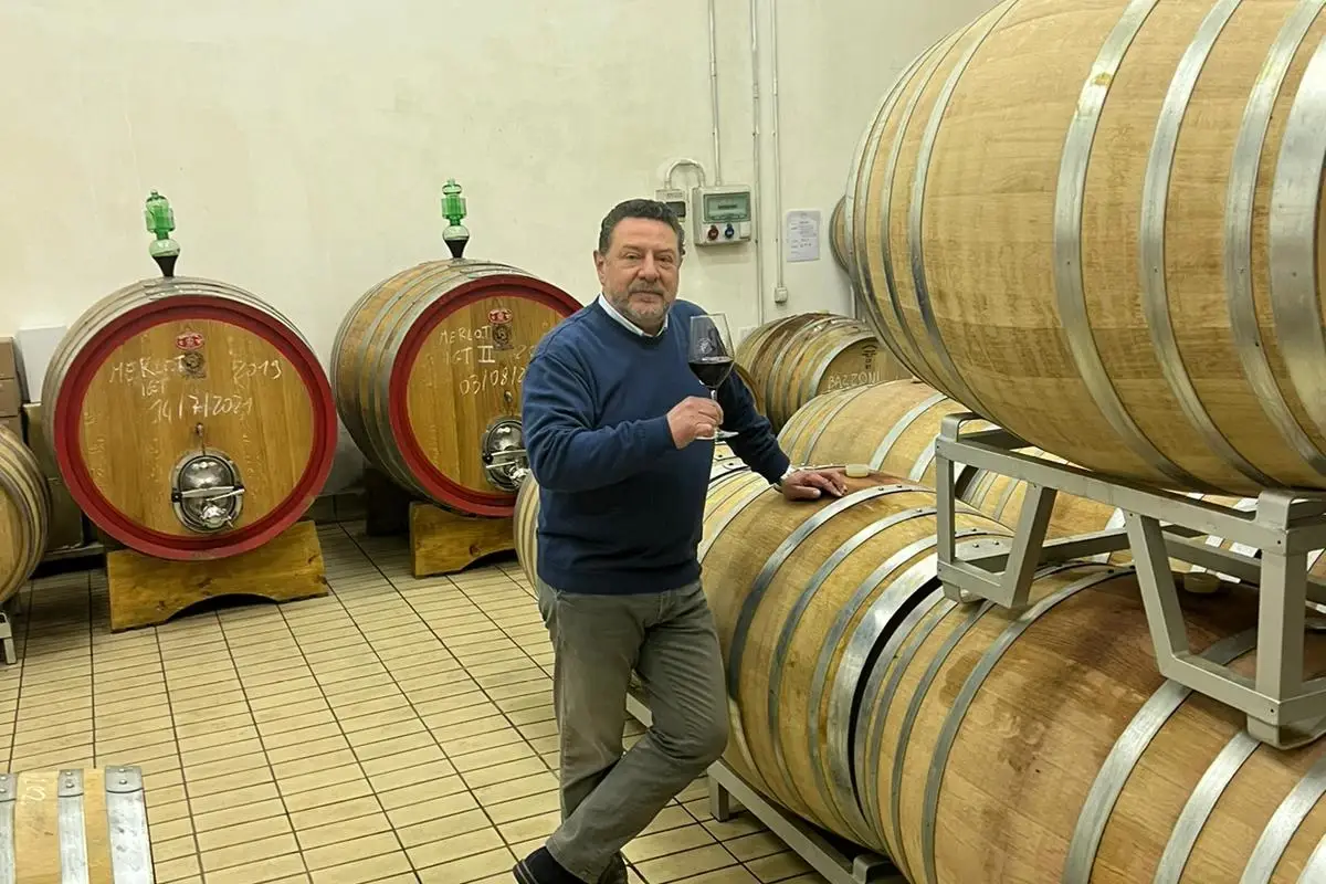 Gianluigi Bontempi&nbsp; Rocche dei Vignali, viticoltura di montagna in Val Camonica