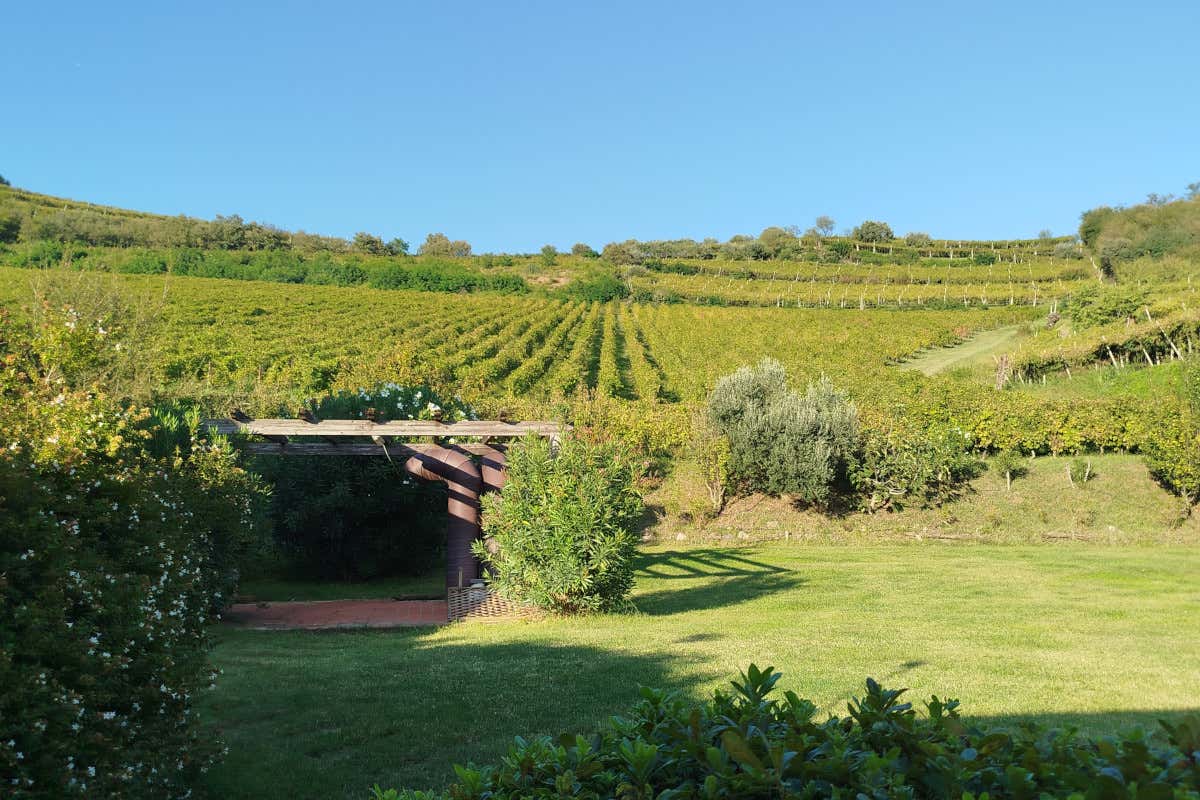 Monte Lessini, Soave e Colli Berici: i tre volti del vino di Gianni Tessari