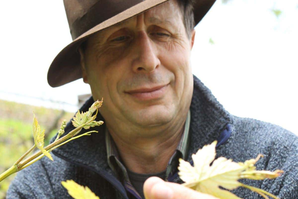 Distribuzione, addio definitivo al credito per i ristoranti?