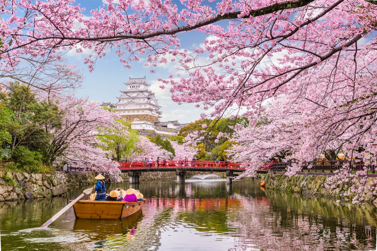 Un fantastico paesaggio giapponese Una primavera in Giappone con Kel 12: tra storia e modernità