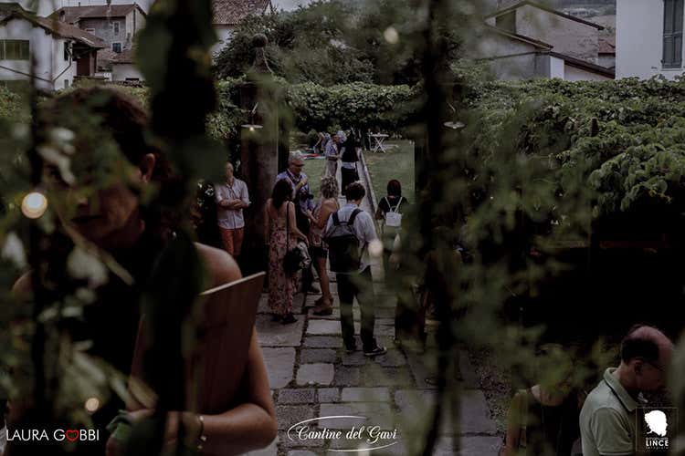 In 800 tra mistero e gourmet (Cantine del Gavi, in 800 alla cena nell'affascinante giardino segreto)