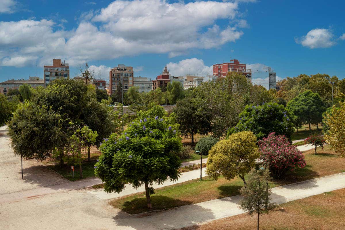 Valencia: cosa vedere e come muoversi nella Capitale Verde Europea 2024 Valencia: cosa vedere e come muoversi nella Capitale Verde Europea 2024