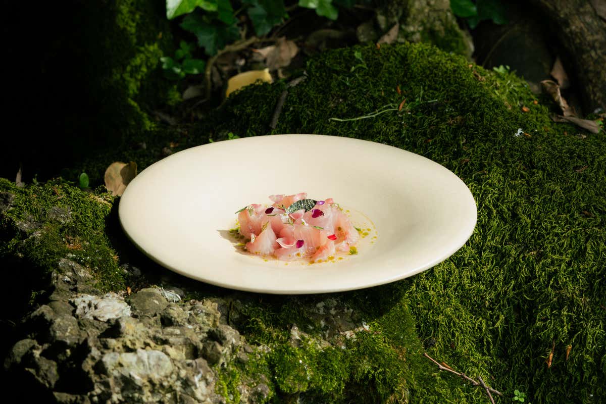 C’è un’anima siciliana che profuma di Laguna nel giardino botanico più antico di Venezia