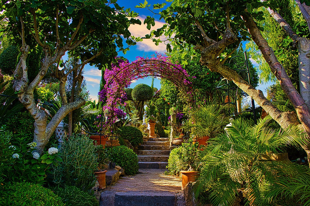 Il lussureggiante giardino Daní Maison, un giardino “stellato” nel cuore di Ischia